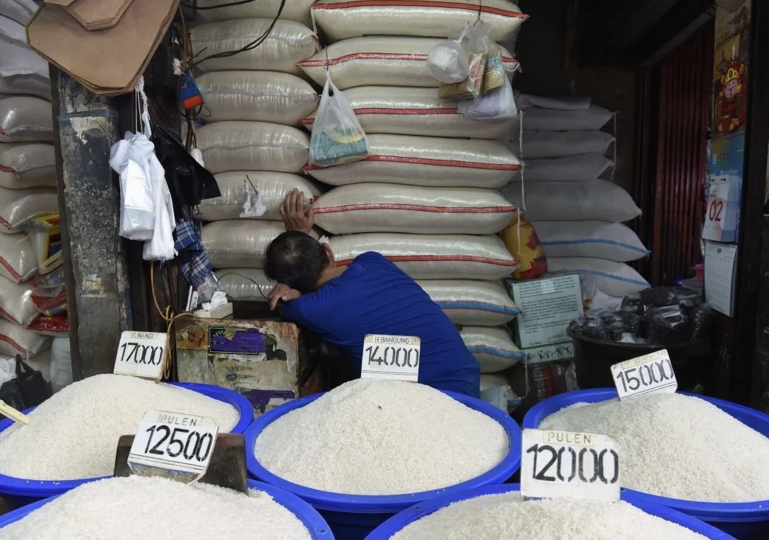 Bikin Lega! Produksi Beras RI Hingga September 2025 Surplus 70%